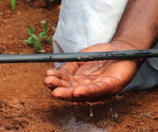 Precision Irrigation for Orchards